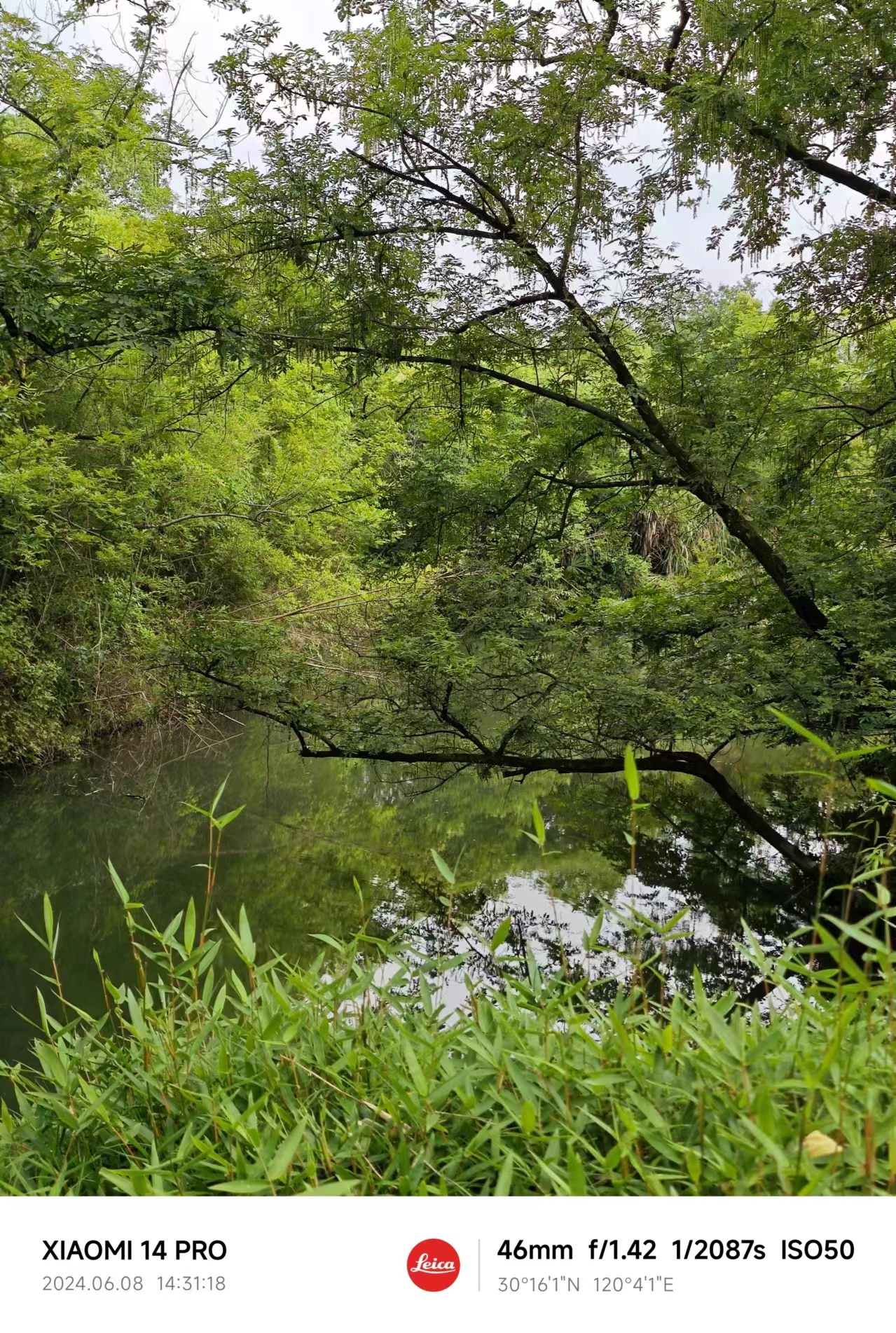 西溪湿地